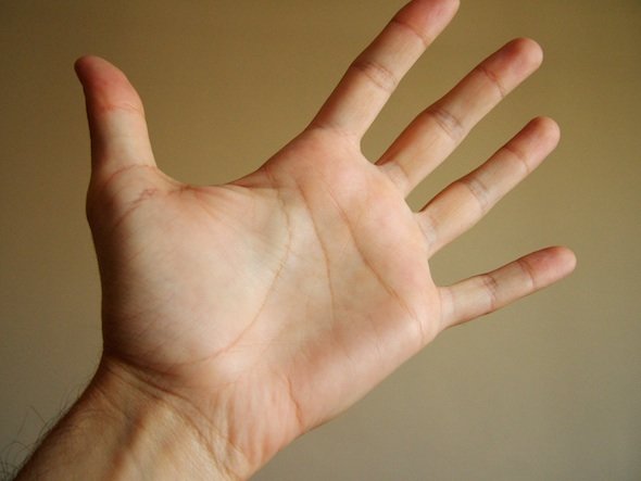 palm-of-hand.jpg