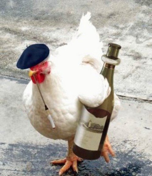 chicken-with-wine1.jpg